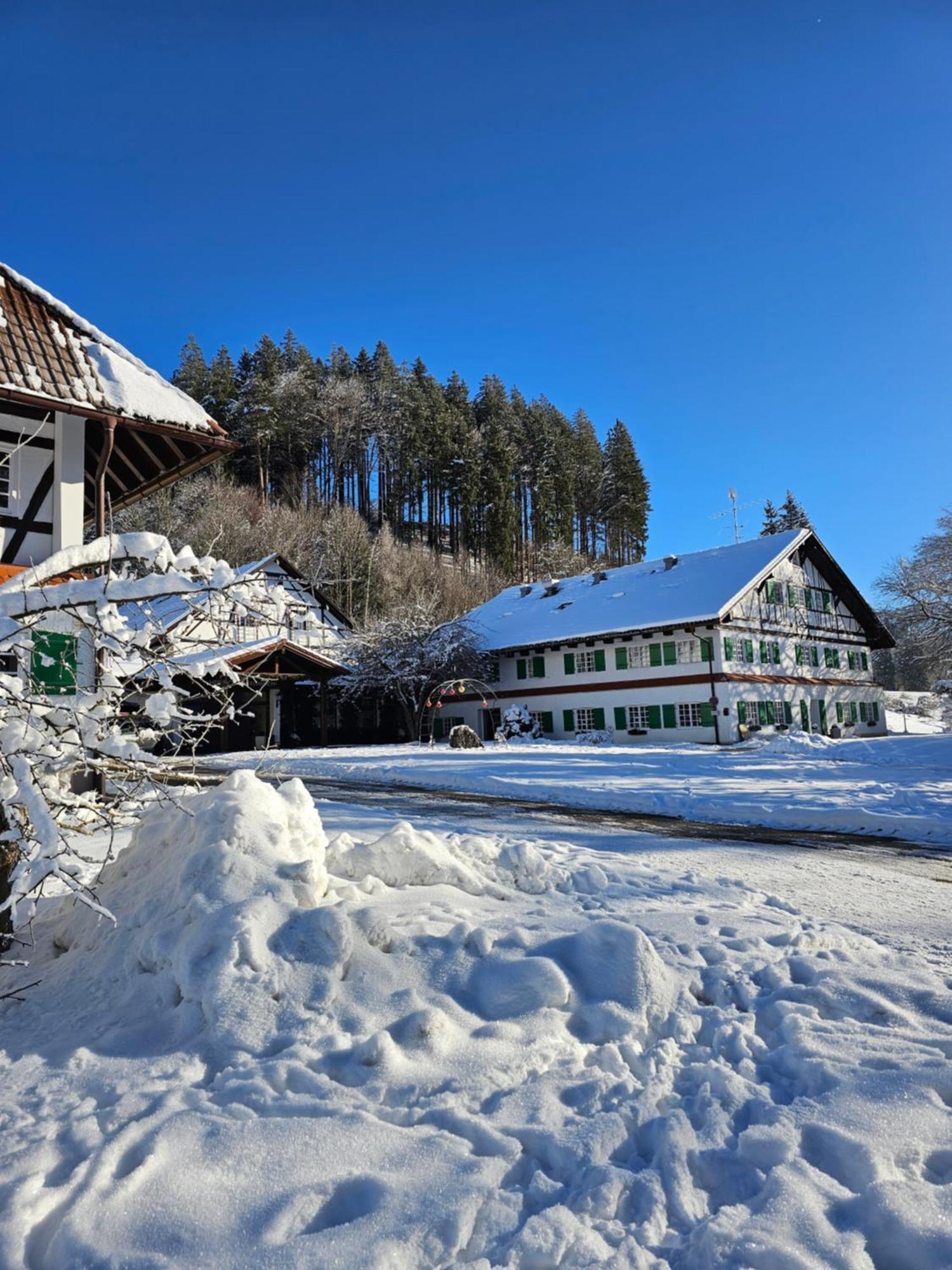 Allgaeu Residenz Natur & Spa Gmbh Wiggensbach Zewnętrze zdjęcie